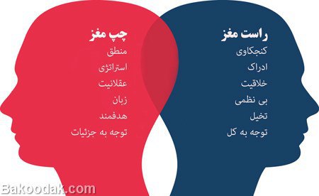 راست دست یا چپ دست بودن کودک از چه زمانی مشخص میشود؟ 